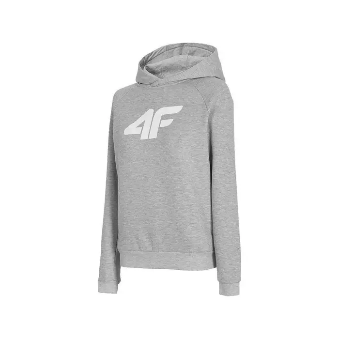 Felpe con cappuccio 4F BLD023 Grigio