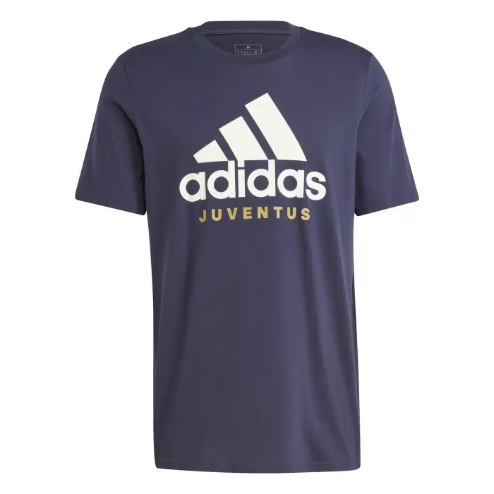 T-shirt Juventus Turin Graphic 2024/25 Bleu