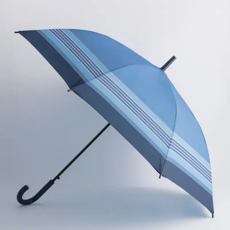 Carpisa Ombrelli Multicolore 2734622