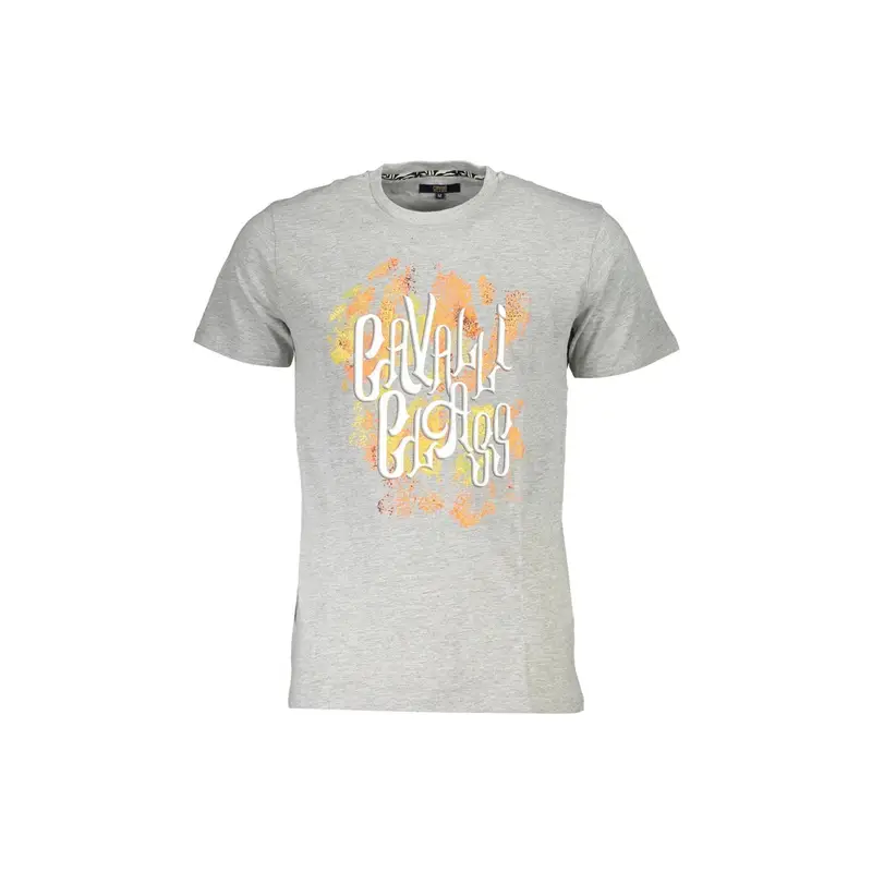 Cavalli Class T-shirt Uomo Grigio 4072181
