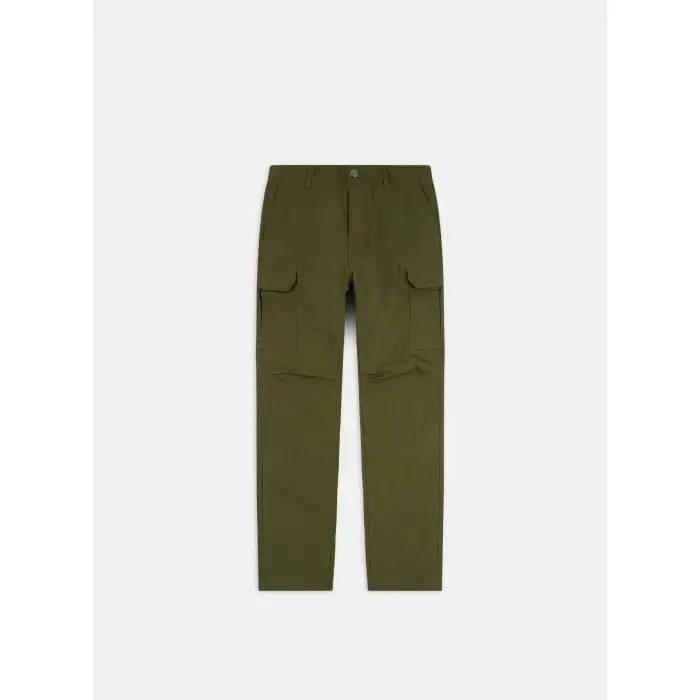 Pantaloni cargo Dickies Millerville Vert