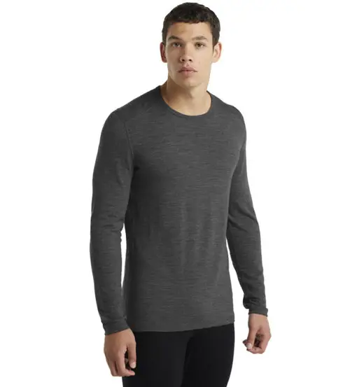 Merino 260 Tech Crewe - maglietta tecnica a maniche lunghe - uomo Grey