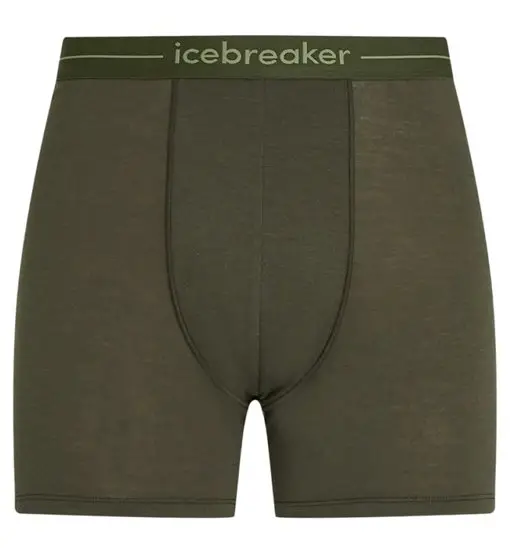 Icebreaker Merino Anatomica - boxer - uomo Green