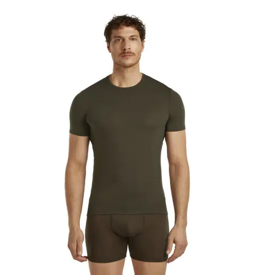 Icebreaker Merino Anatomica SS Crewe - maglietta tecnica - uomo Green