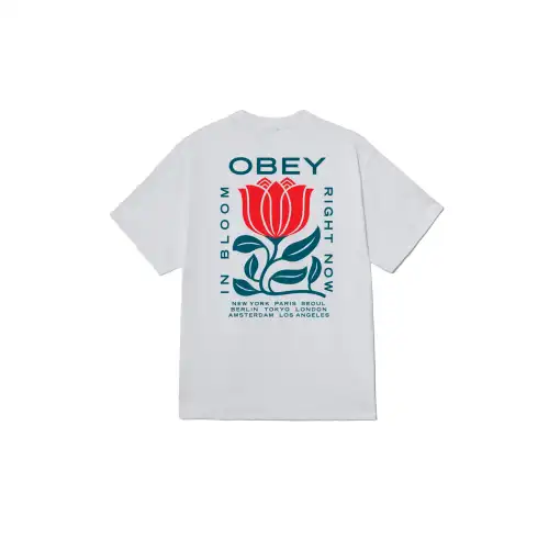 Obey T-shirt 4833804
