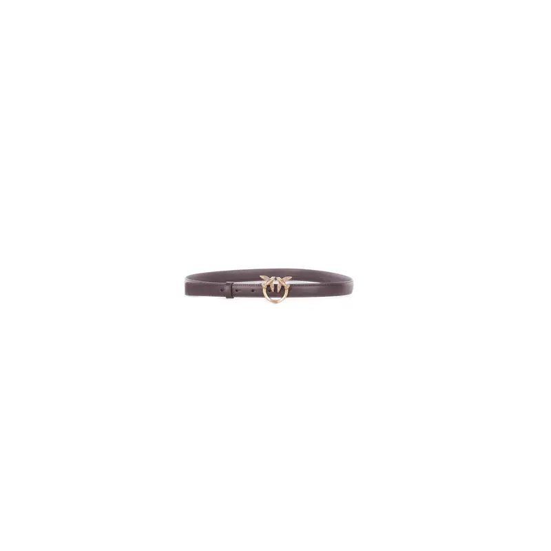 Pinko Cinture Marrone 4396355