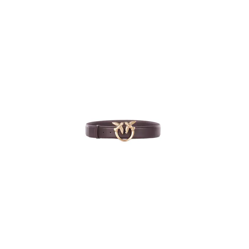 Pinko Cinture Marrone 4396357