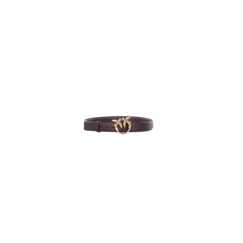 Pinko Cinture Marrone 4396362