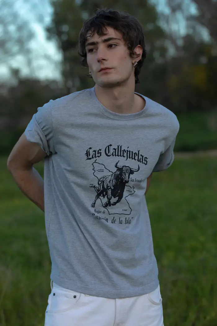 Pull&Bear T-Shirt Camarón Las Callejuelas Grigio vigoré