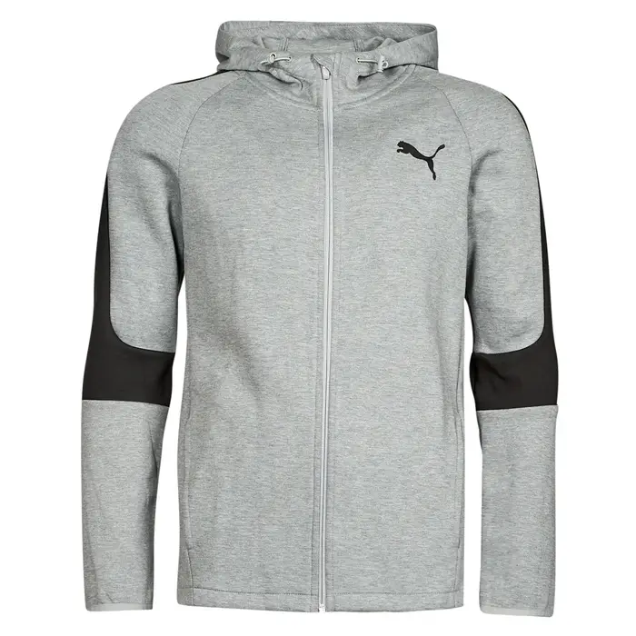 Felpe con cappuccio Puma EVOSTRIPE CORE FZ HOODIE Grigio