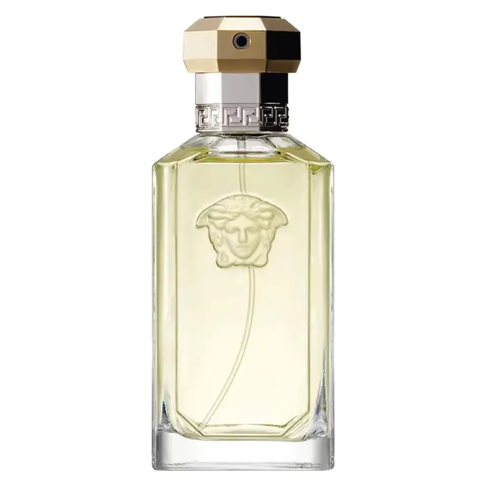 Versace Outlet the Dreamer - EDT 100 ml