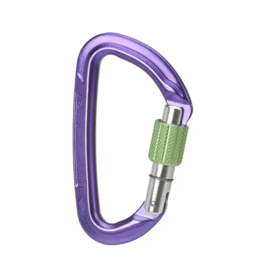 Wild Country Session Screw Gate - moschettone Purple